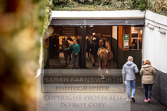 Goffs Orby 2022 Day 1-90