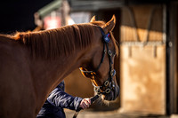 Goffs UK Breeze Up 2022-4