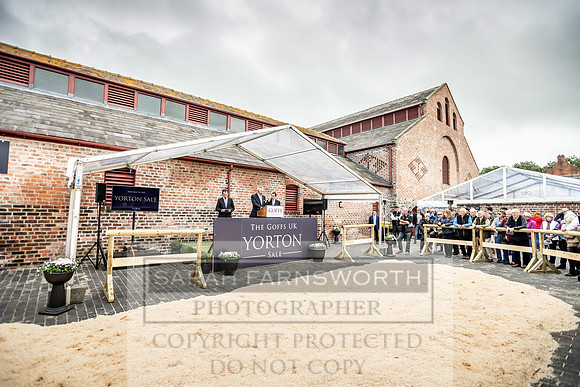 GUK Yorton Sale 2019-273