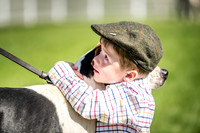 Builth Hound Show 2019-1