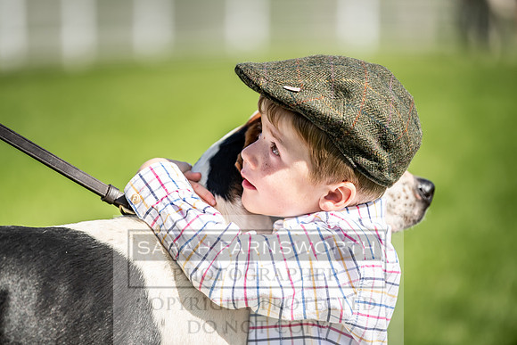 Builth Hound Show 2019-1