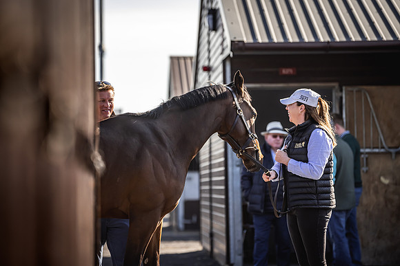 Goffs UK Breeze Up 2022-62