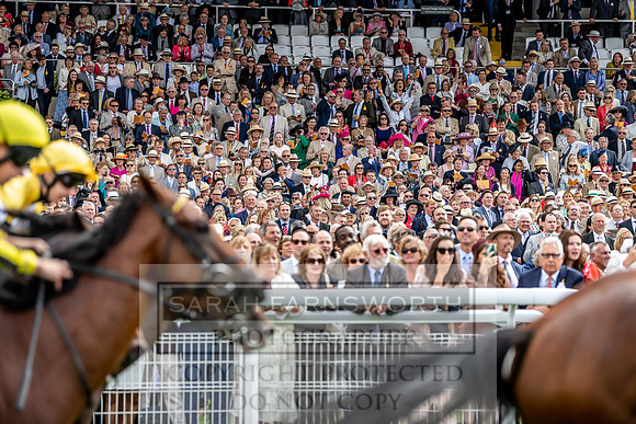 GUK Goodwood Sale 2019-102
