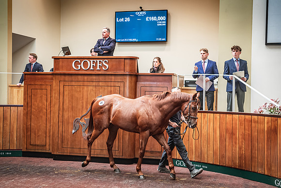 Goffs UK Breeze Up 2022-244