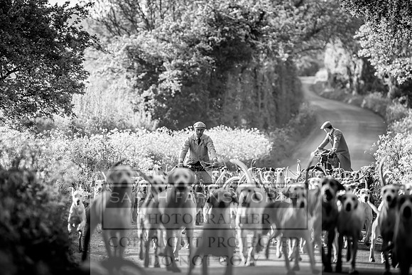 Heythrop Kennels-20