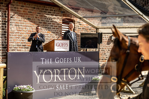 GUK Yorton Sale 2019-393