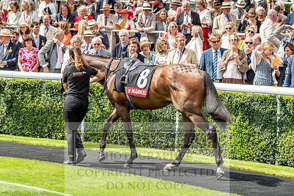 GUK Goodwood Sale 2019-73