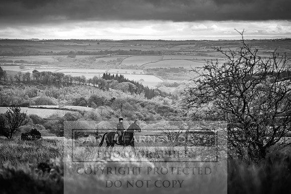 Exmoor Autumn 2020-3
