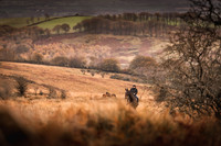 Exmoor Autumn 2020-1