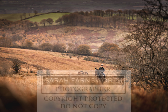Exmoor Autumn 2020-1