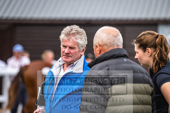 Goffs UK PY24-571