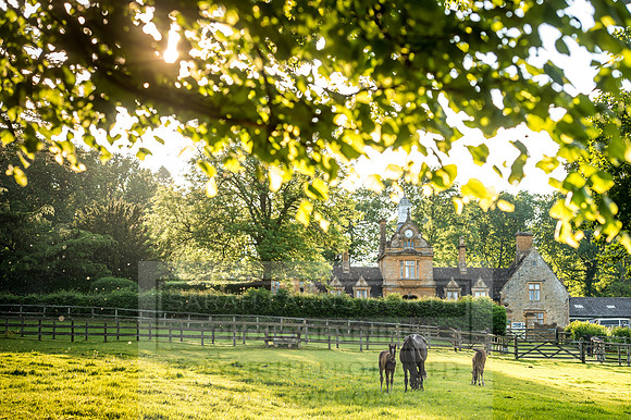 Cotswolds June 2017-3