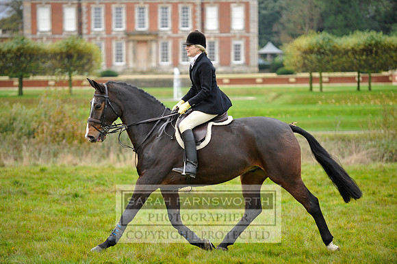 Brocklesby 021113 CF3 425