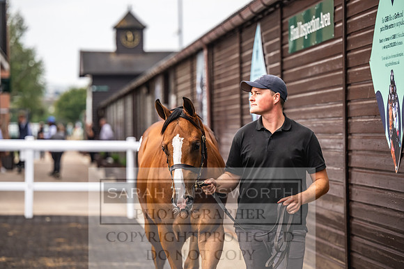 Goffs UK PY24-406