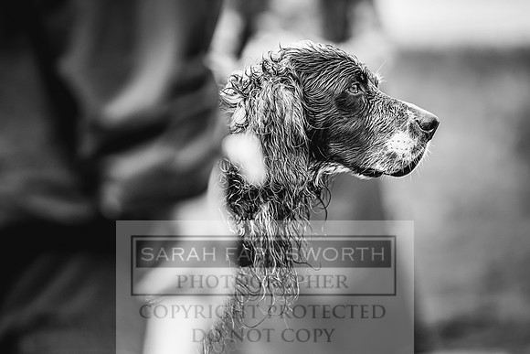 Garrigill Grouse Moor 2018-31