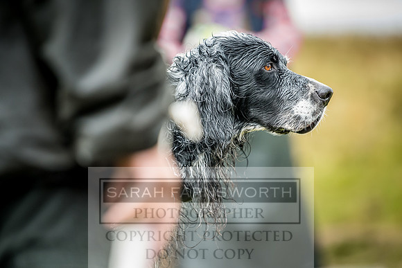 Garrigill Grouse Moor 2018-32