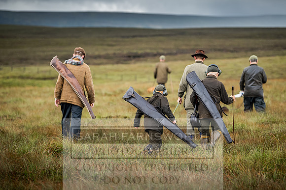 Garrigill Grouse Moor 2018-36