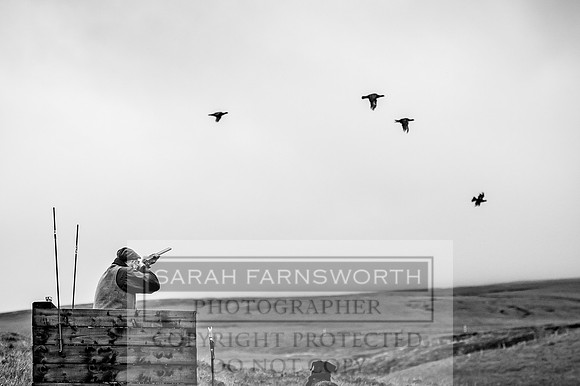 Garrigill Grouse Moor 2018-40