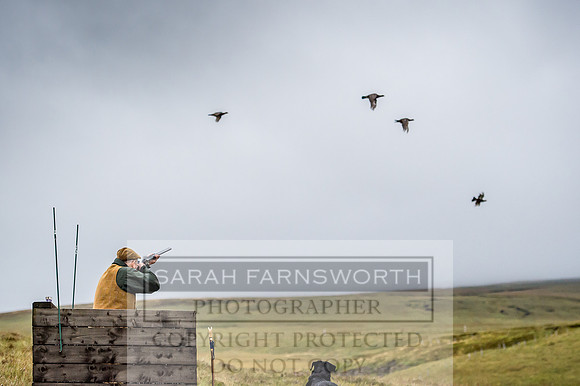 Garrigill Grouse Moor 2018-41
