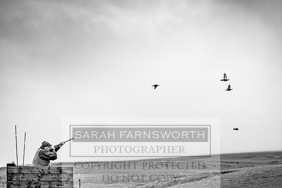 Garrigill Grouse Moor 2018-42