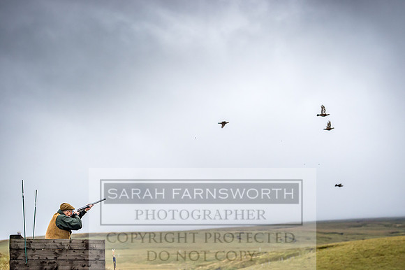 Garrigill Grouse Moor 2018-43