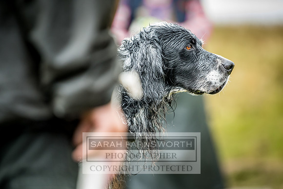Garrigill Grouse Moor 2018-32