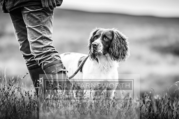 Garrigill Grouse Moor 2018-2