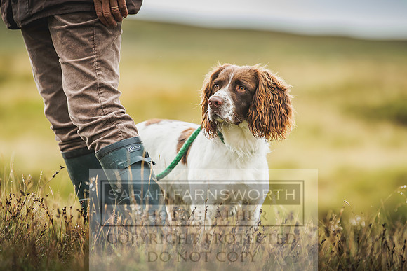 Garrigill Grouse Moor 2018-3
