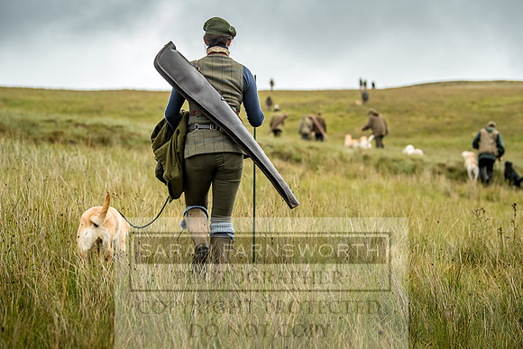 Garrigill Grouse Moor 2018-5