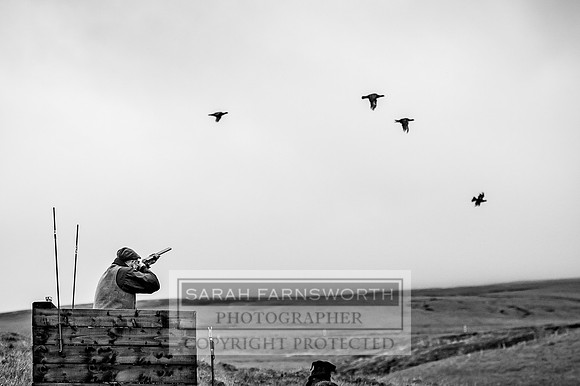Garrigill Grouse Moor 2018-40