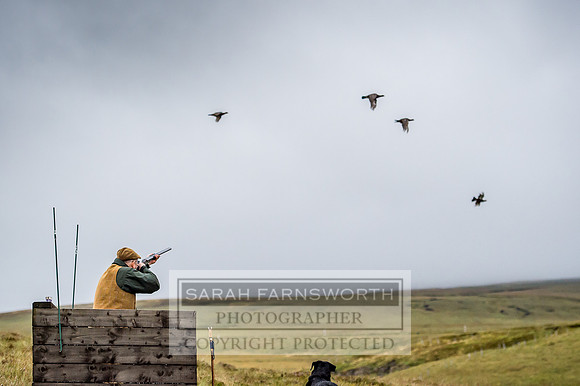 Garrigill Grouse Moor 2018-41