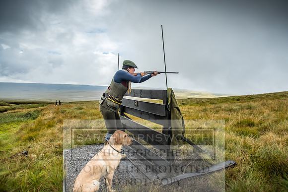 Garrigill Grouse Moor 2018-10