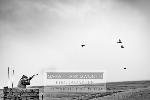 Garrigill Grouse Moor 2018-42