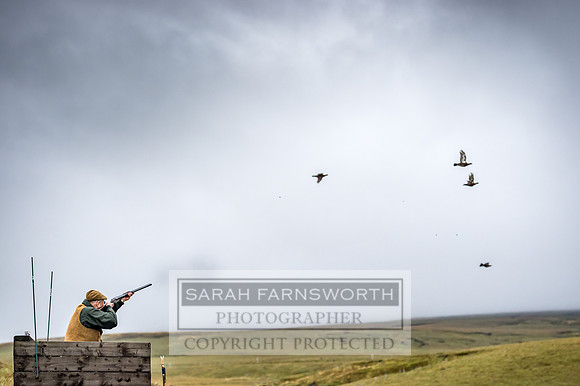 Garrigill Grouse Moor 2018-43