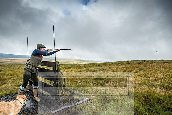 Garrigill Grouse Moor 2018-11