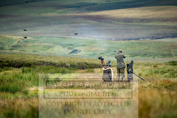 Garrigill Grouse Moor 2018-12