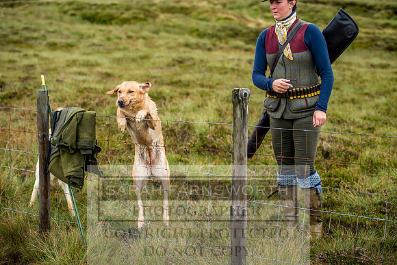 Garrigill Grouse Moor 2018-14