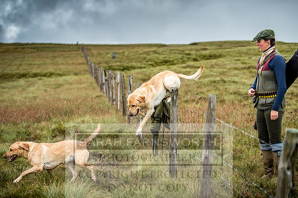 Garrigill Grouse Moor 2018-15