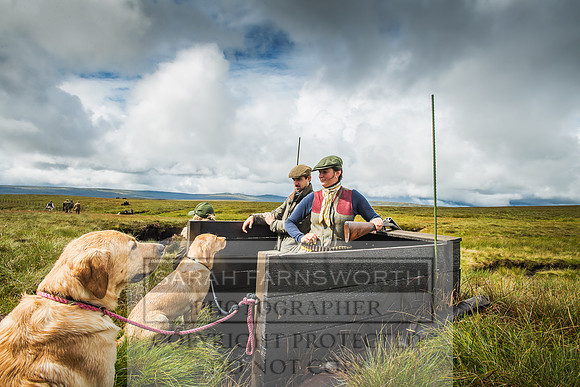 Garrigill Grouse Moor 2018-22