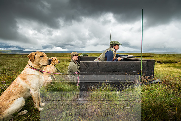 Garrigill Grouse Moor 2018-23