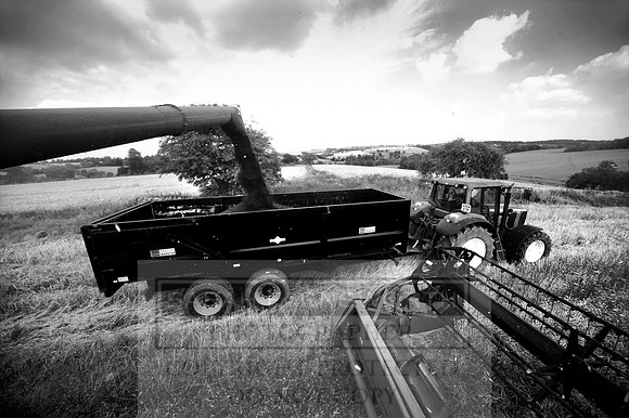 combining r-oil 030 bw