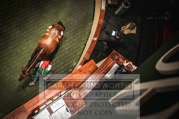 Goffs Orby 2022 Day 1-76