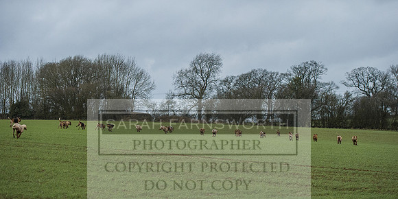 Ludlow 261215-121