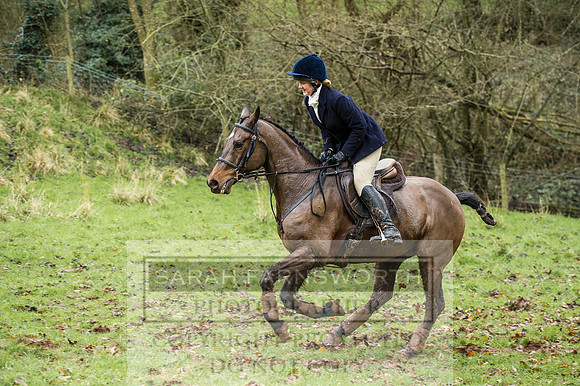 Ludlow 261215-313