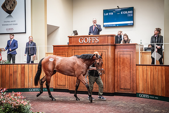 Goffs UK Breeze Up 2022-352