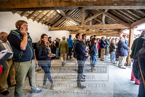 GUK Yorton Sale 2019-331