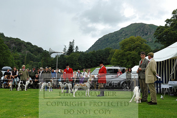 Rydal 2014 CF1 135