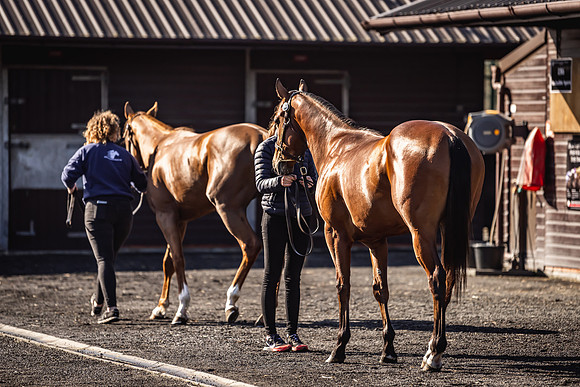 Goffs UK Breeze Up 2022-114