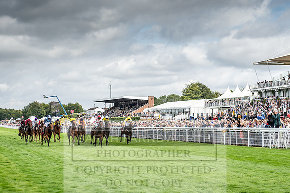 GUK Goodwood Sale 2019-103