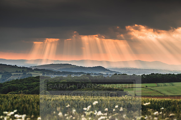 View to the Malverns-8